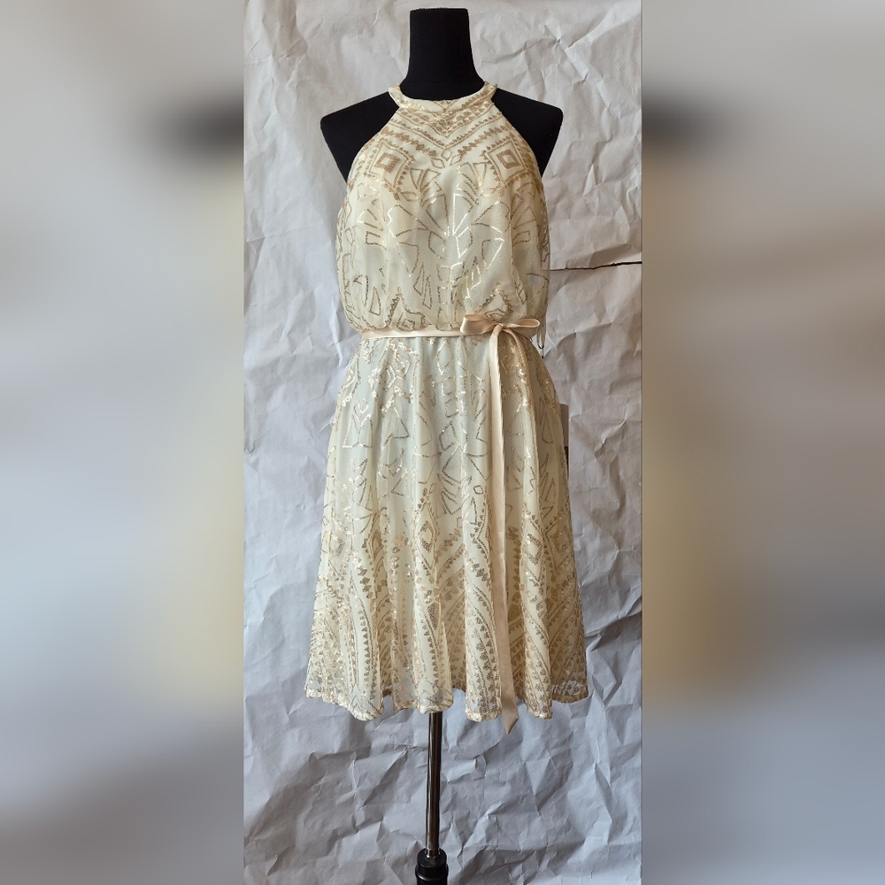 Angelina Faccenda Cocktail Dress